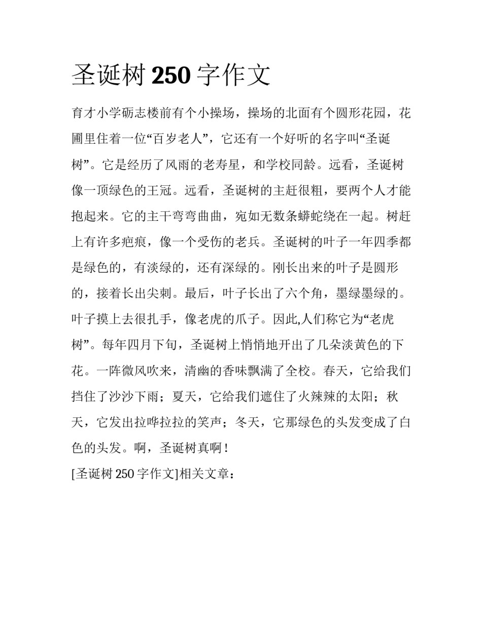 圣诞树250字作文_第1页