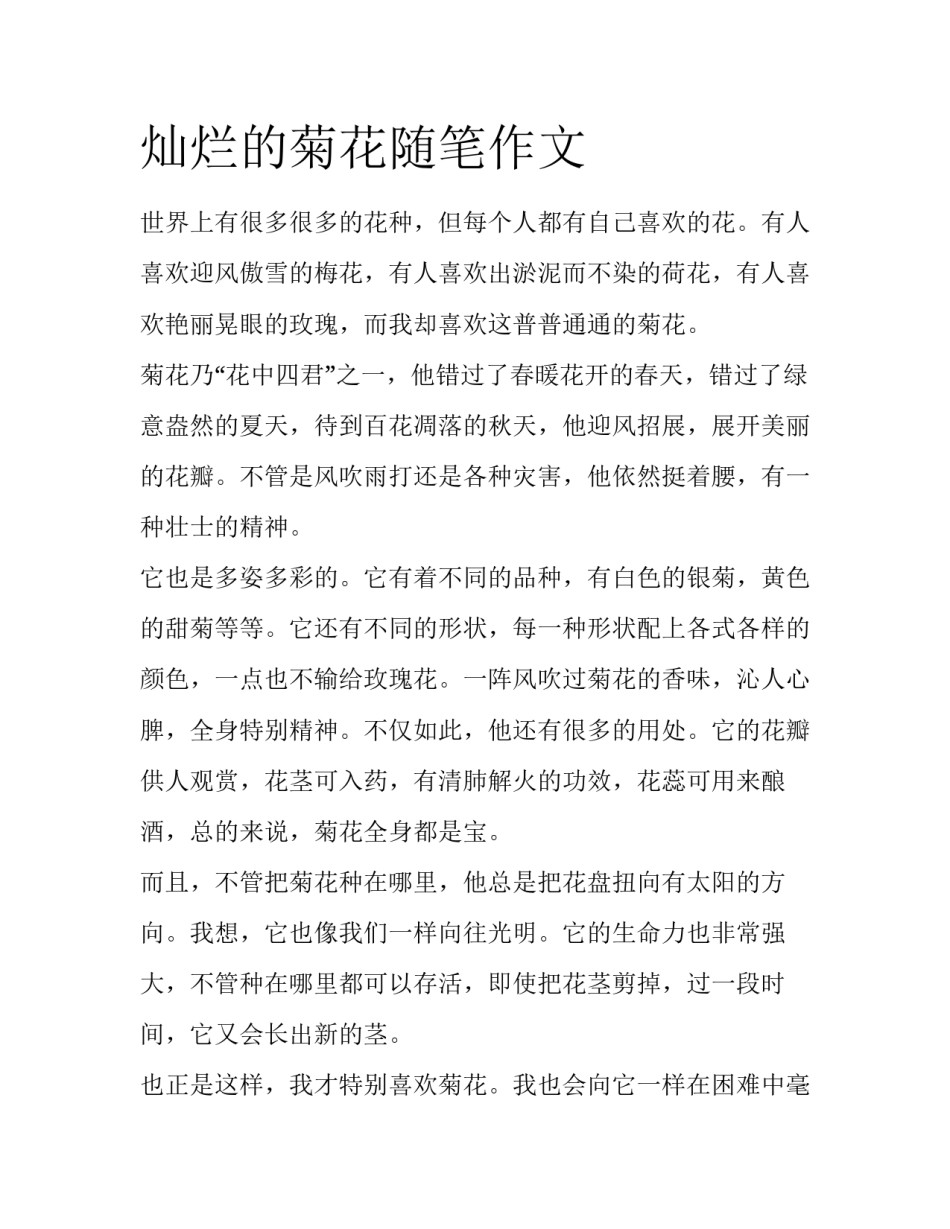 灿烂的菊花随笔作文_第1页