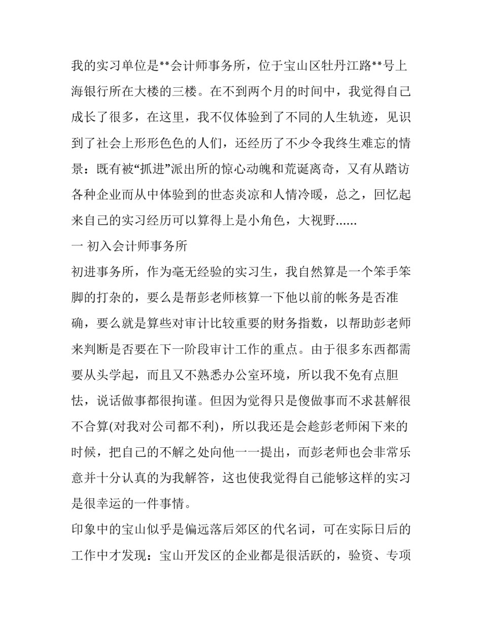 会计事务所实习报告范文两篇_第3页