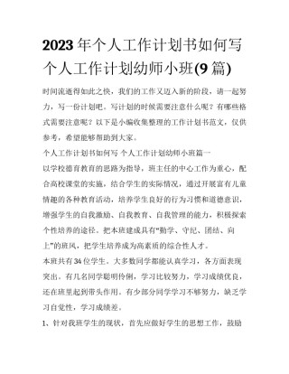 2023年个人工作计划书如何写 个人工作计划幼师小班(9篇)