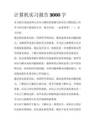 计算机实习报告3000字