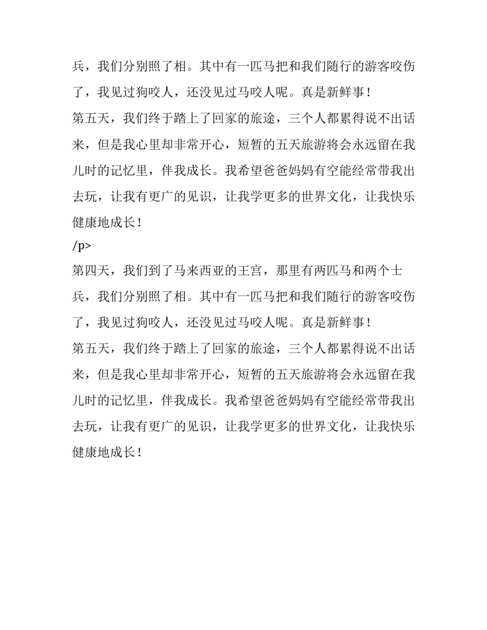 新马五日游记作文_第2页