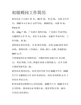 初级顾问工作简历