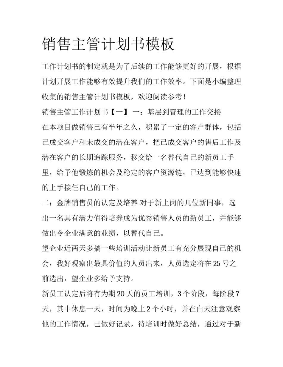 销售主管计划书模板_第1页