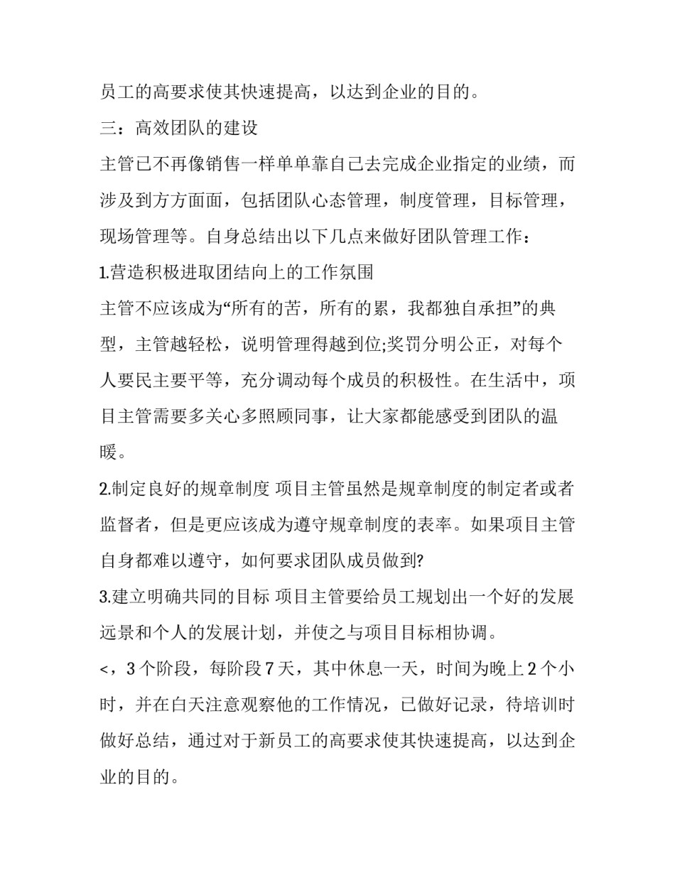 销售主管计划书模板_第2页