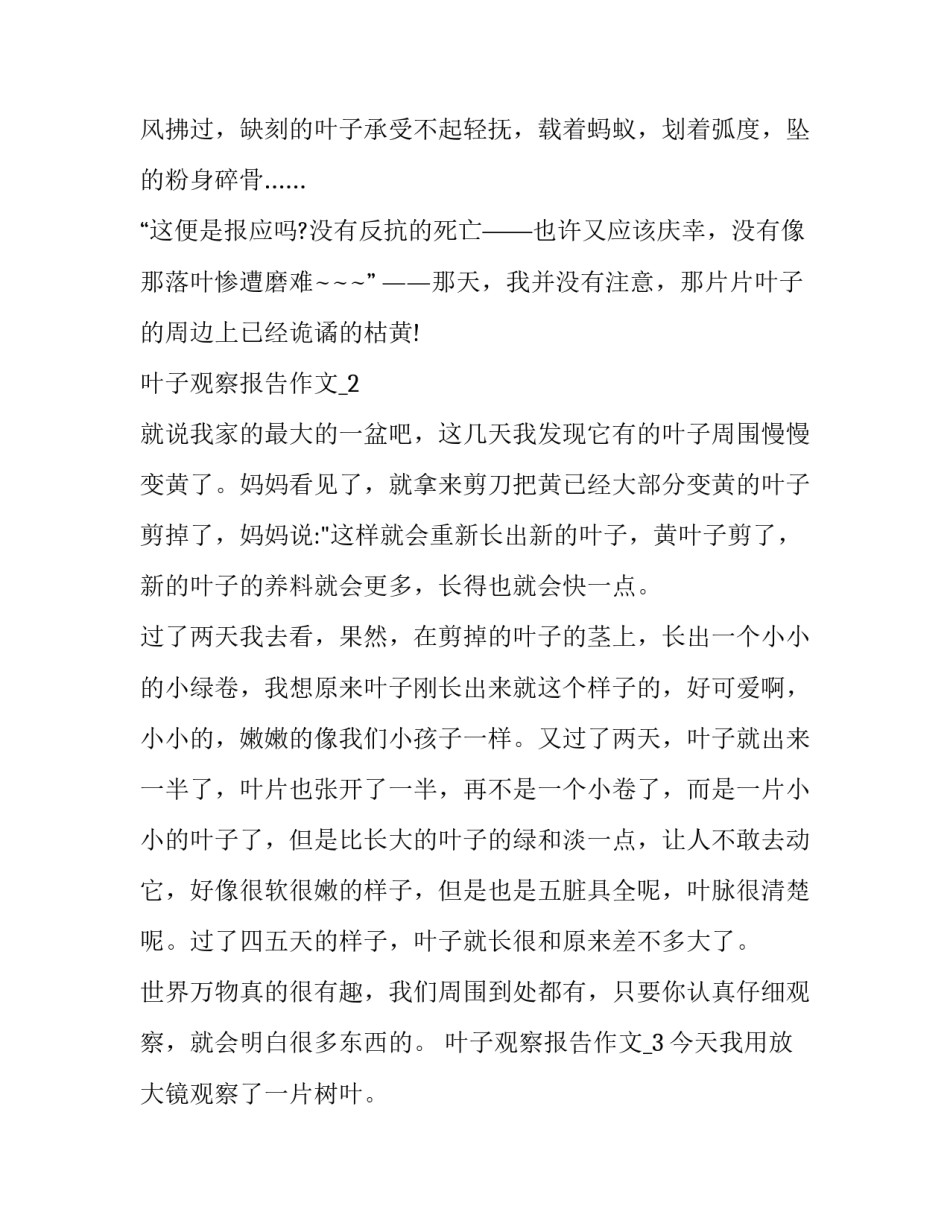 叶子观察报告作文_第2页