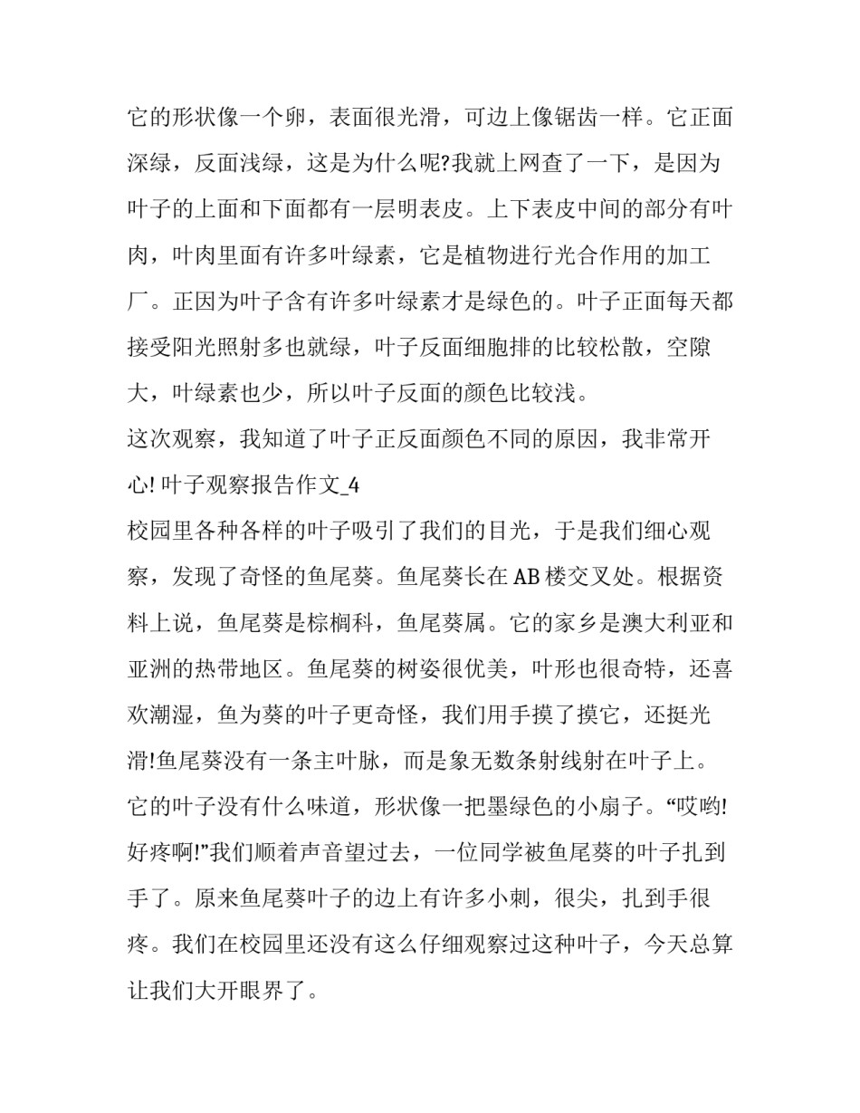 叶子观察报告作文_第3页