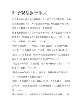 叶子观察报告作文