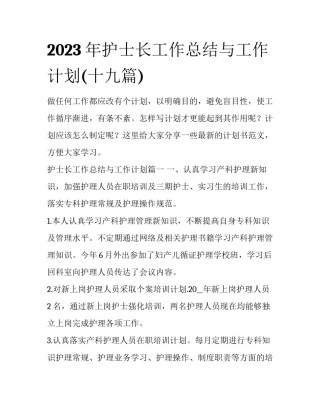 2023年护士长工作总结与工作计划(十九篇)
