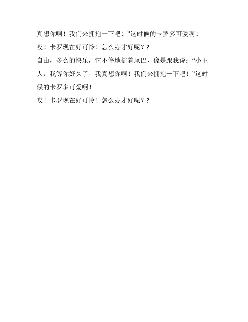 可怜的卡罗作文300字_第2页