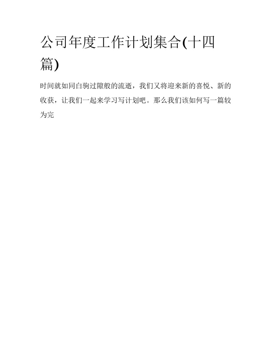 公司年度工作计划集合(十四篇)_第1页