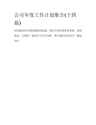 公司年度工作计划集合(十四篇)