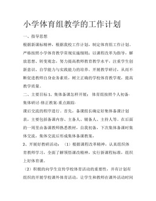 小学体育组教学的工作计划