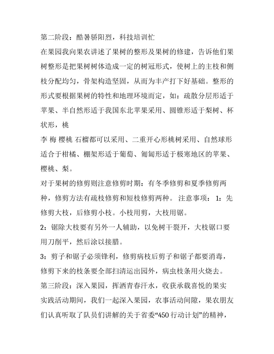 林业局暑期社会实践报告_第3页