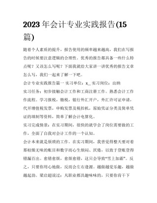 2023年会计专业实践报告(15篇)