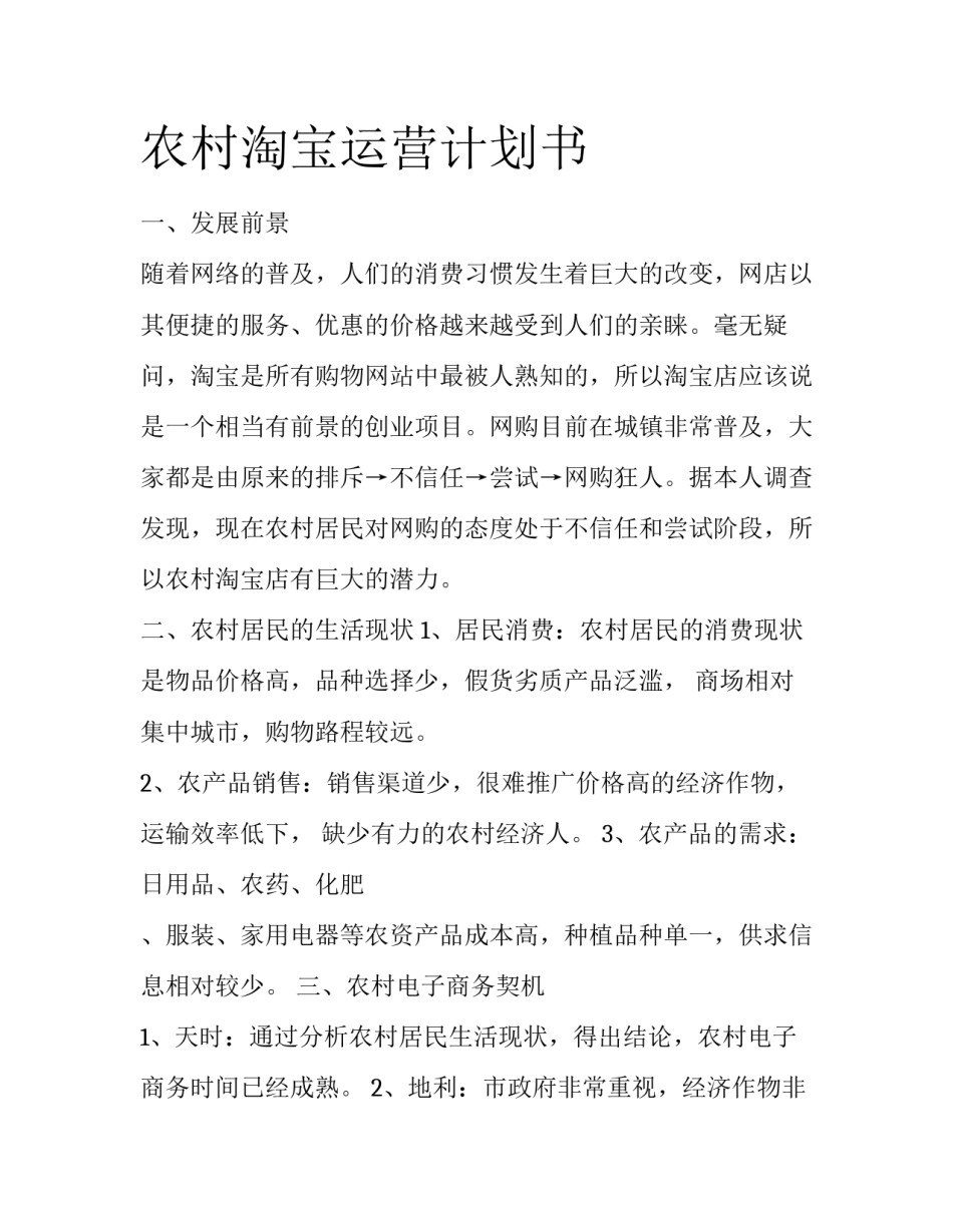 农村淘宝运营计划书_第1页