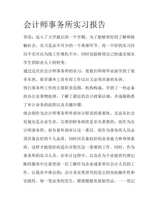 会计师事务所实习报告