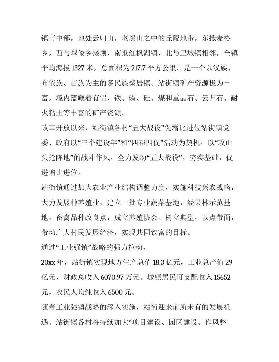 社会实践报告家乡发展_第3页