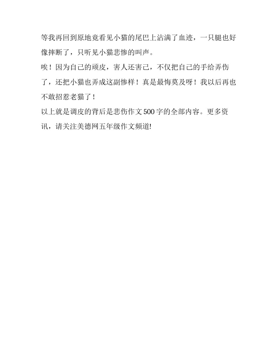调皮的背后是悲伤作文500字_第2页