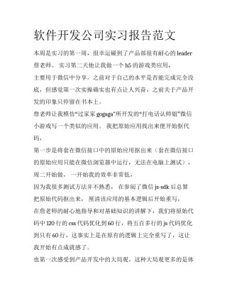 软件开发公司实习报告范文