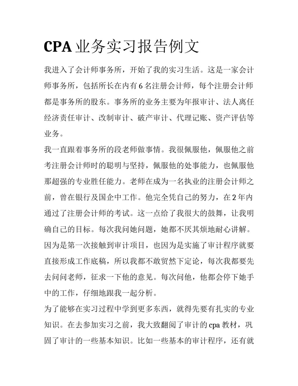 CPA业务实习报告例文_第1页