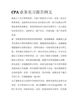 CPA业务实习报告例文