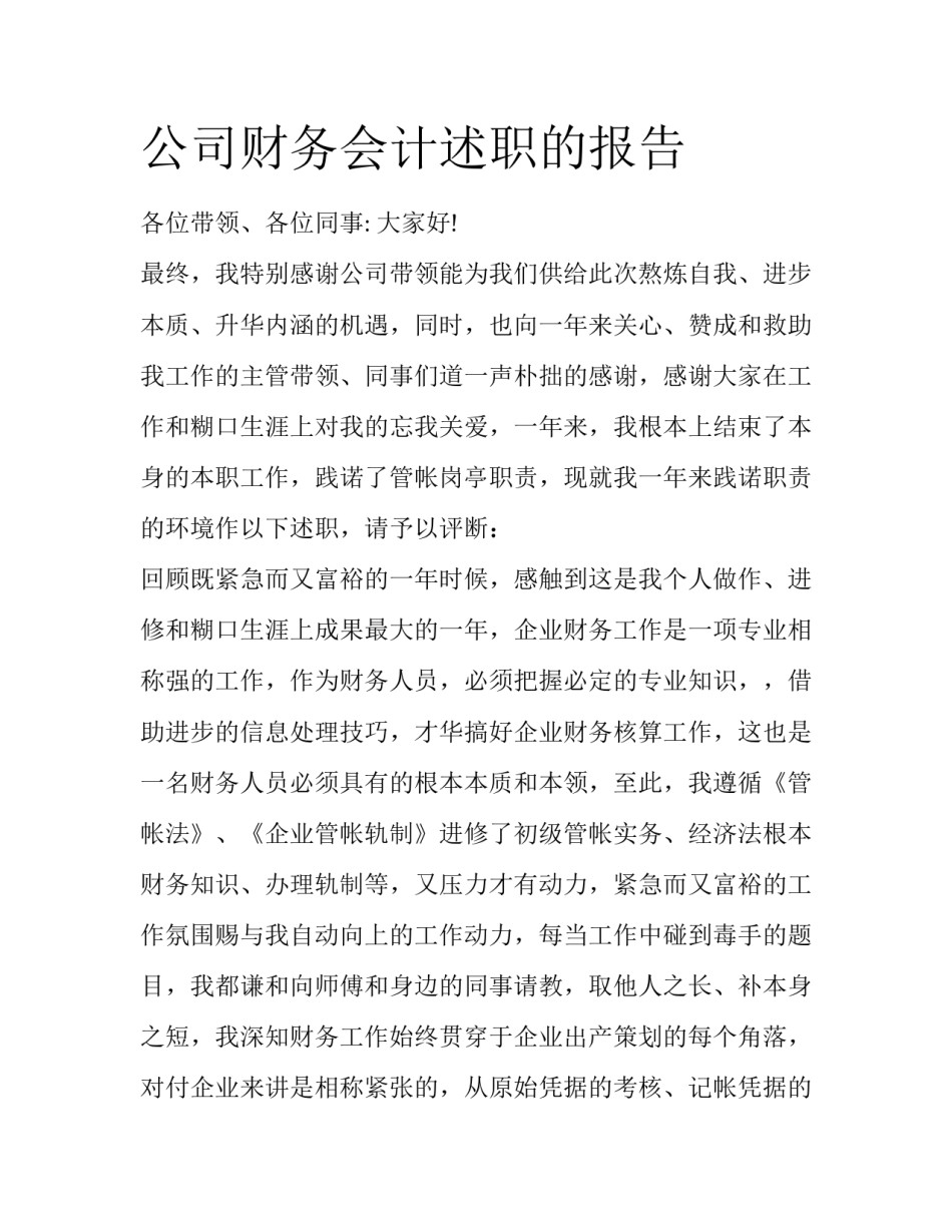 公司财务会计述职的报告_第1页