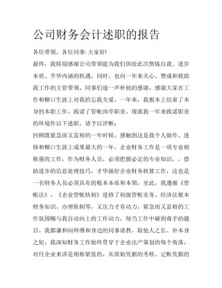 公司财务会计述职的报告