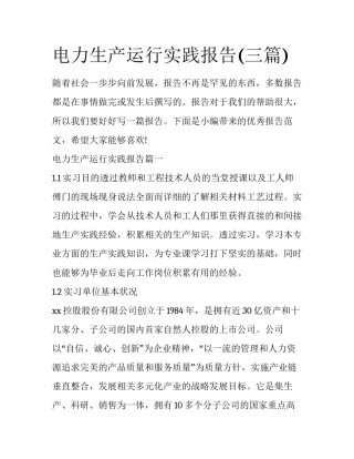 电力生产运行实践报告(三篇)