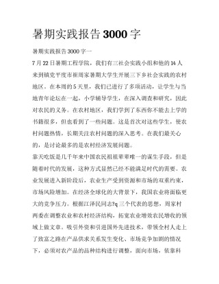 暑期实践报告3000字