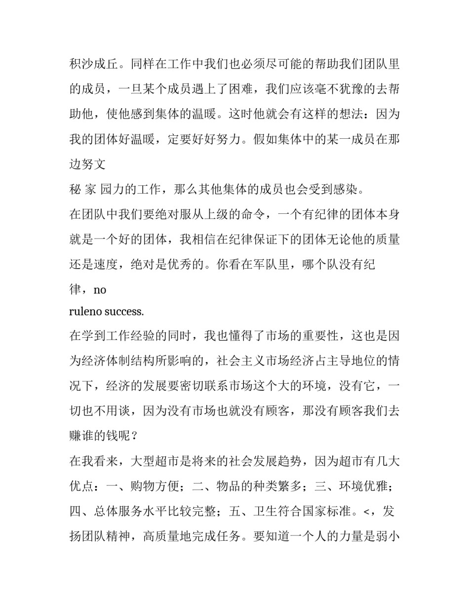 销售实习生报告_第2页