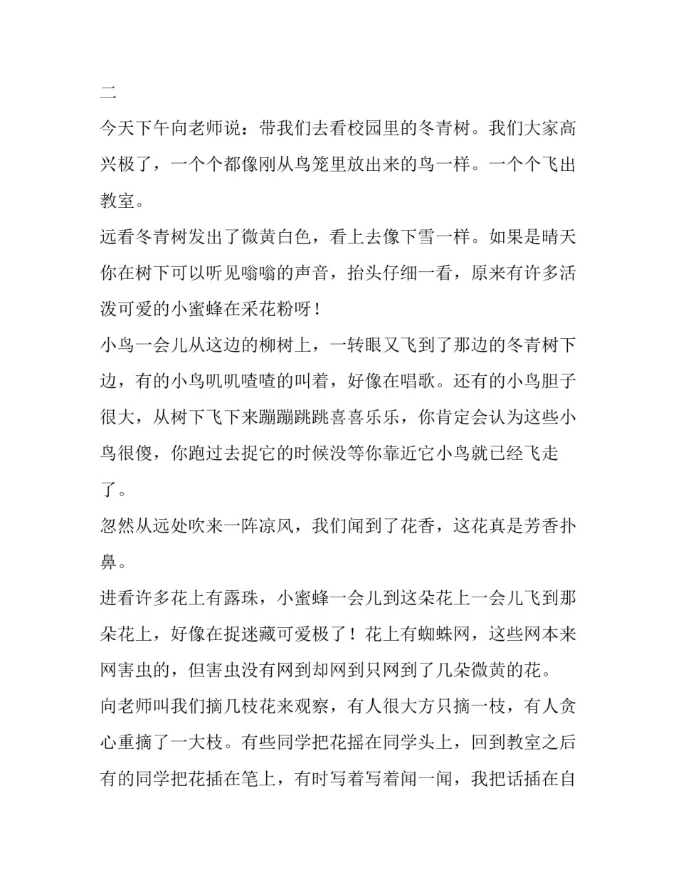关于冬青树的作文三篇_第2页