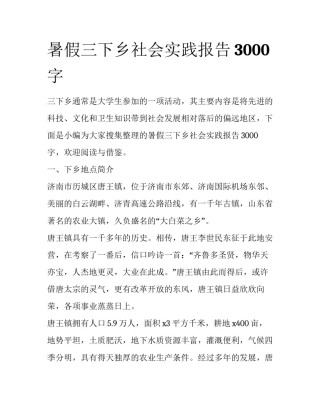 暑假三下乡社会实践报告3000字