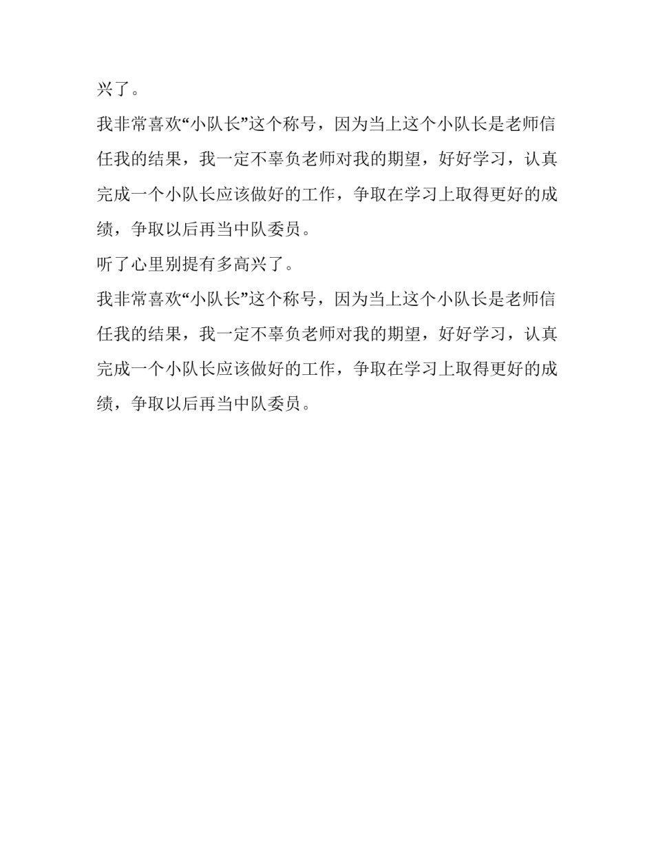 我被选为小队长了300字作文_第2页