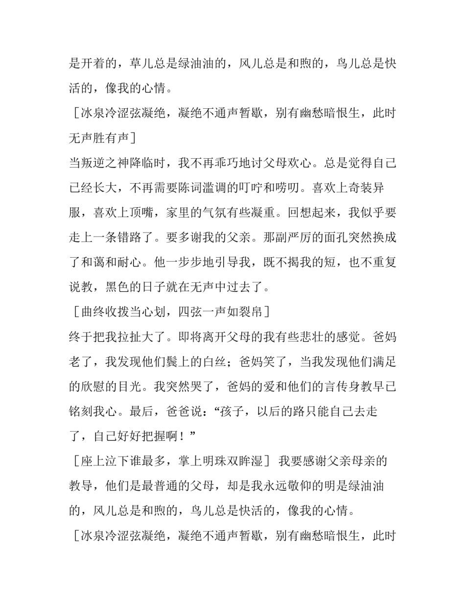 琵琶行之父母有情高中优秀作文_第2页