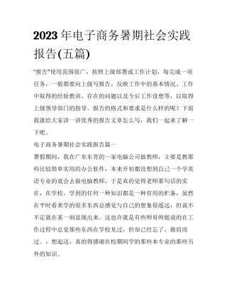 2023年电子商务暑期社会实践报告(五篇)