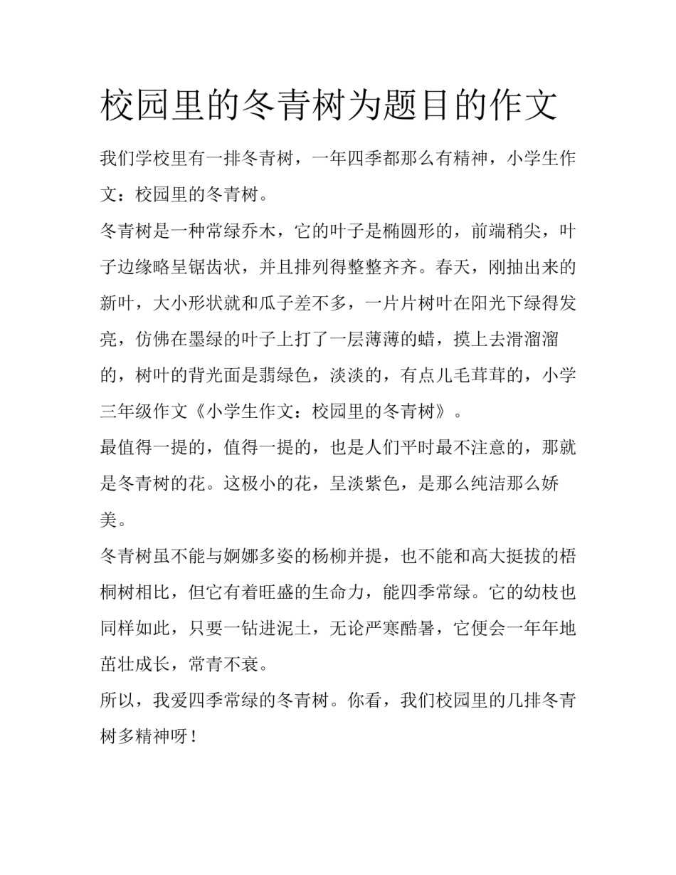 校园里的冬青树为题目的作文_第1页