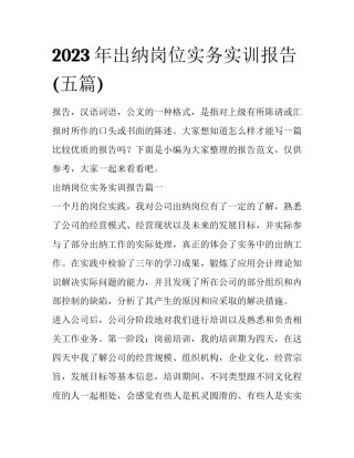 2023年出纳岗位实务实训报告(五篇)