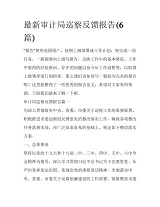 最新审计局巡察反馈报告(6篇)
