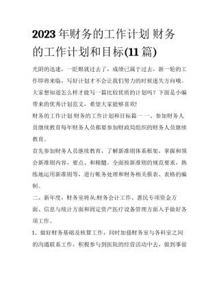 2023年财务的工作计划 财务的工作计划和目标(11篇)