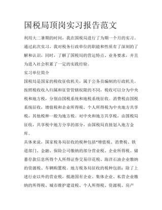 国税局顶岗实习报告范文