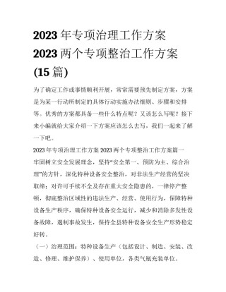 2023年专项治理工作方案 2023两个专项整治工作方案(15篇)