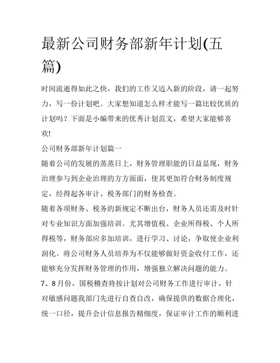 最新公司财务部新年计划(五篇)_第1页