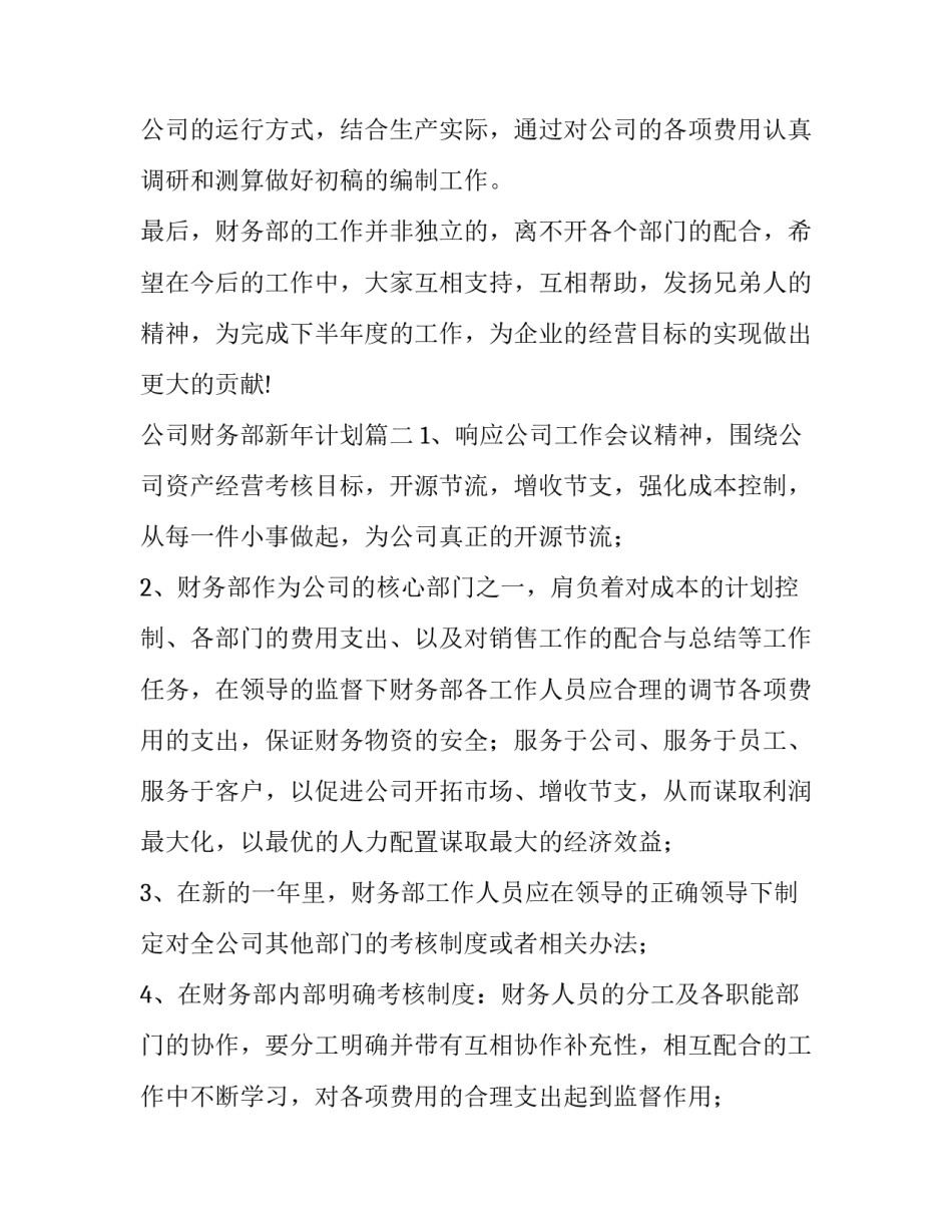 最新公司财务部新年计划(五篇)_第3页