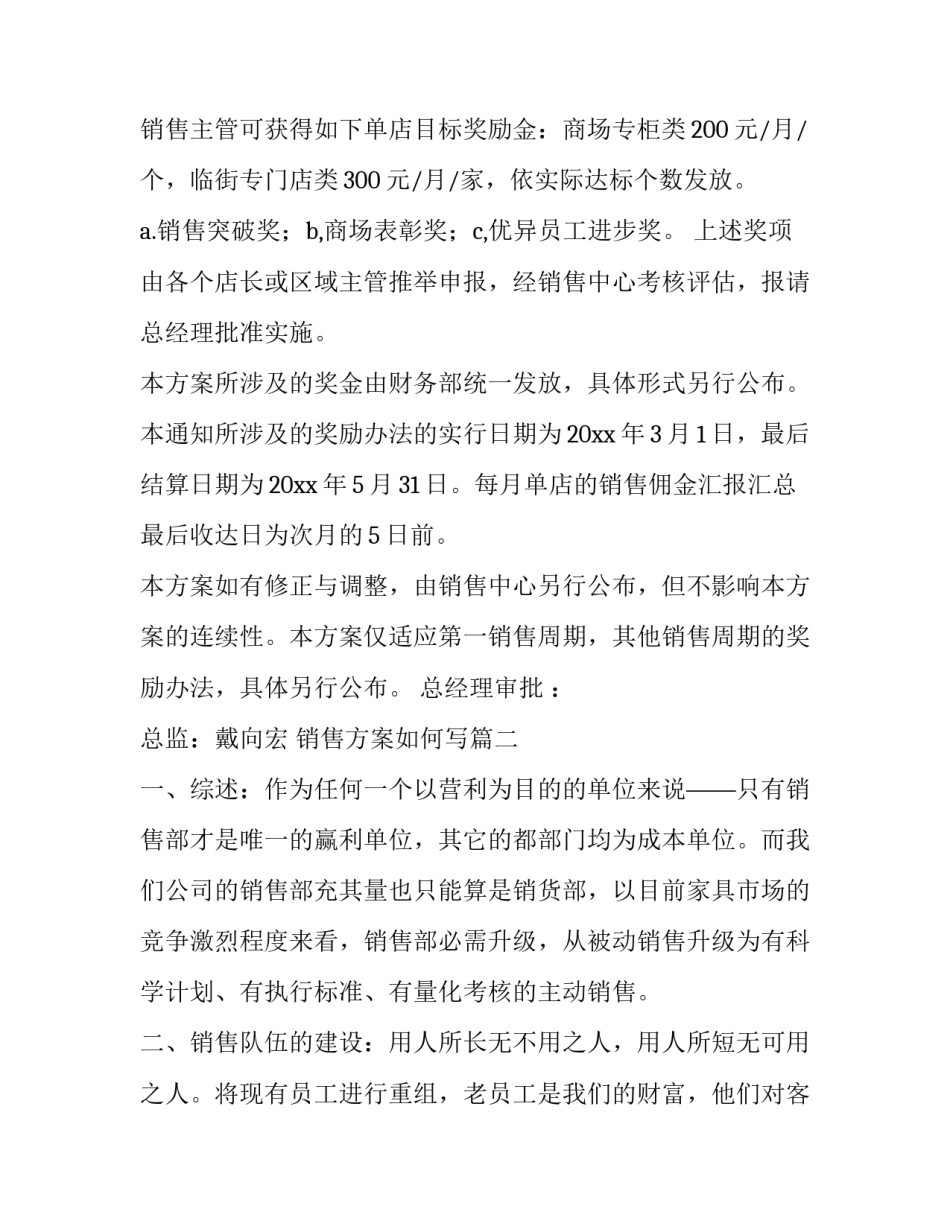 销售方案如何写(七篇)_第3页