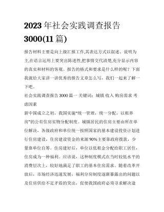 2023年社会实践调查报告3000(11篇)