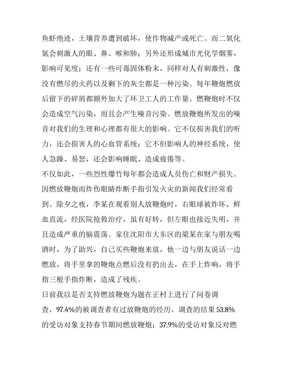 过节燃放爆竹调查报告范文_第3页