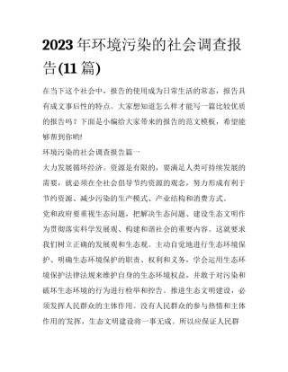 2023年环境污染的社会调查报告(11篇)
