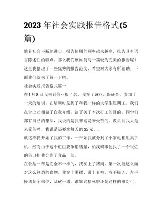 2023年社会实践报告格式(5篇)