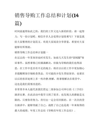销售导购工作总结和计划(14篇)